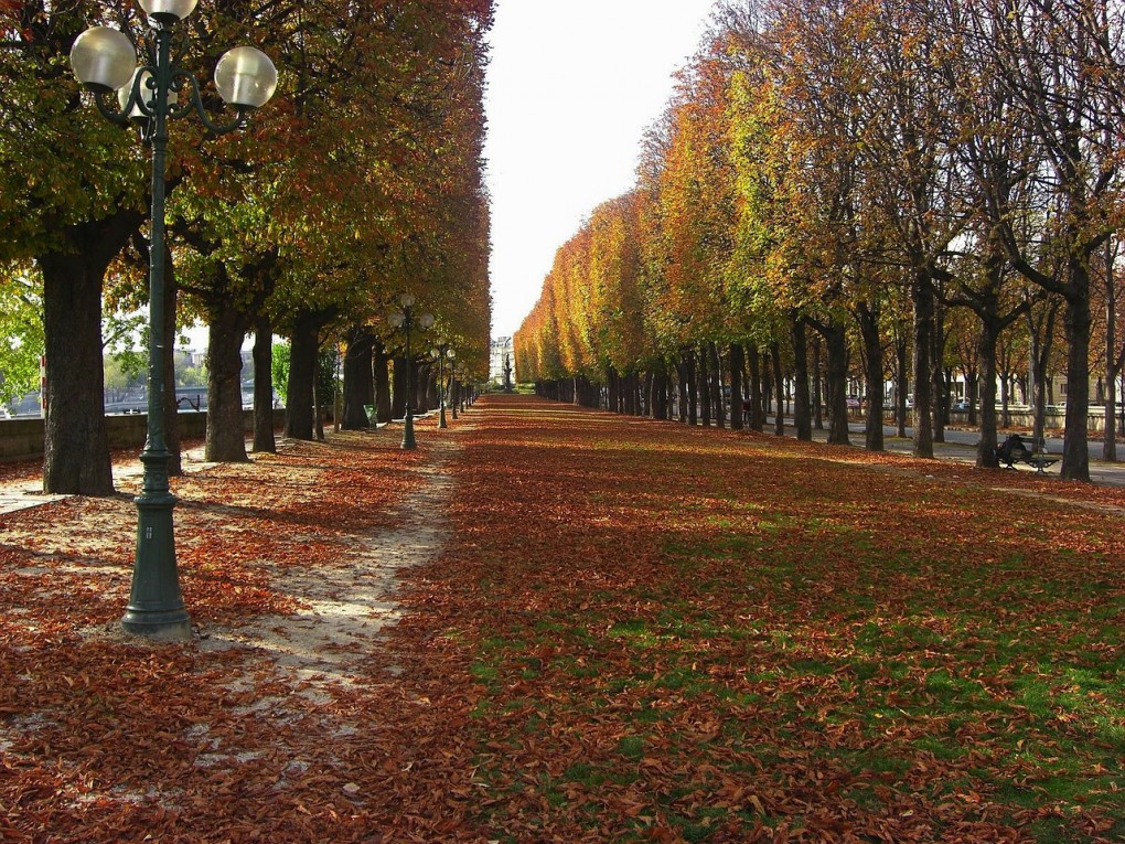 Parques de Paris no Outono